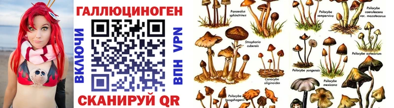 Галлюциногенные грибы прущие грибы  Очёр 